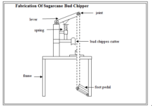 fabrication-of-sugarcane-bud-chipper